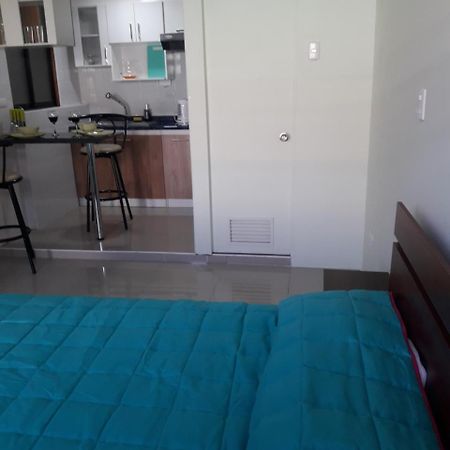 Mini Loft Apartment Iquique Bagian luar foto